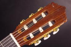 Tears Guitar ECL-650T_3