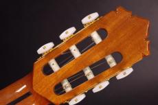 Tears Guitar ECL-650T_4