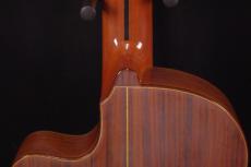 Tears Guitar ECL-650T_7