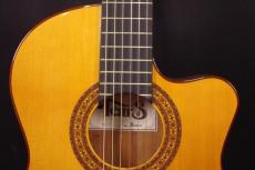 Tears Guitar ECL-650T_8
