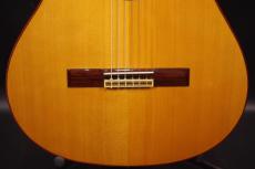 Tears Guitar ECL-650T_9