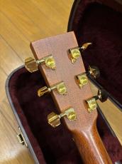 Martin OMCPA1_6