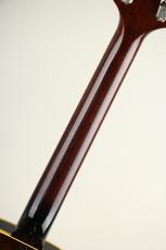 KING SNAKE Muddy Non Cutaway Tobacco Sunburst_7