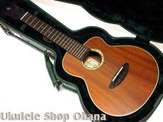 aNueNue [aNN-UC110 Green Bird]コンサート 中南米産マホガニー単板 カッタウェイ_5