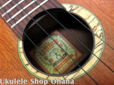 aNueNue [aNN-UC110 Green Bird]コンサート 中南米産マホガニー単板 カッタウェイ_10