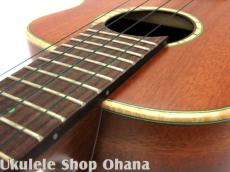 aNueNue [aNN-UC110 Green Bird]コンサート 中南米産マホガニー単板 カッタウェイ_14