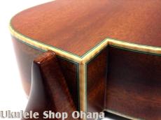 aNueNue [aNN-UC110 Green Bird]コンサート 中南米産マホガニー単板 カッタウェイ_15