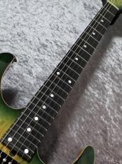 T's DST-24  Custom -Greensand- 「USED」_4