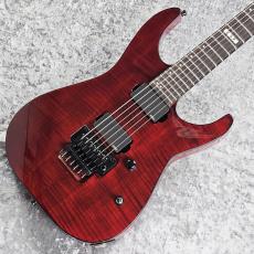 Edwards E-M-II FM -Black Cherry-【限定生産モデル!】
