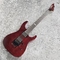 Edwards E-M-II FM -Black Cherry-【限定生産モデル!】_2