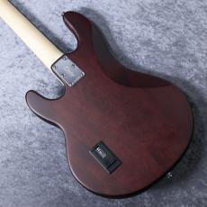 Sterling by MUSIC MAN SUB RAY 4 - Walnut Satin -【4.32㎏】【♯B212398】_10