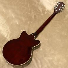 Gretsch G2655T Streamliner Center Block Jr. Double-Cut with Bigsby, Tropico_3