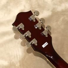 Gretsch G2655T Streamliner Center Block Jr. Double-Cut with Bigsby, Tropico_5