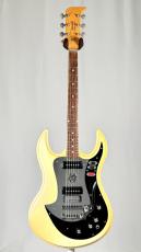 STANDEL 【1966年製】101 Custom Deluxe 【4.05kg】_2
