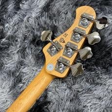 Bacchus WL5-ASH33-AC RSM/M WBD -Global Series-【アウトレット特価】【5弦ベース】_6