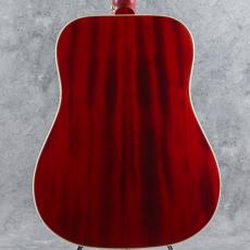 Epiphone Inspired by Gibson Hummingbird Standard  CS_2