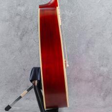 Epiphone Inspired by Gibson Hummingbird Standard  CS_4