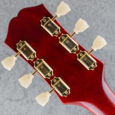 Epiphone Inspired by Gibson Hummingbird Standard  CS_9