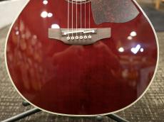 Takamine DMP551C WR #62080498【実物写真】【福岡店在庫】【金利手数料0%】【送料当社負担】_3