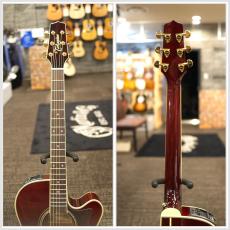Takamine DMP551C WR #62080498【実物写真】【福岡店在庫】【金利手数料0%】【送料当社負担】_9