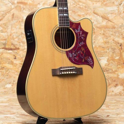 Epiphone Inspired by Gibson Hummingbird Standard EC NA
