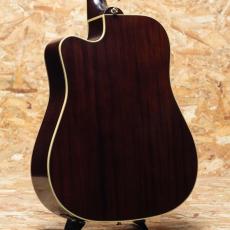 Epiphone Inspired by Gibson Hummingbird Standard EC NA_2