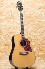 Epiphone Inspired by Gibson Hummingbird Standard EC NA_3