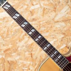 Epiphone Inspired by Gibson Hummingbird Standard EC NA_6