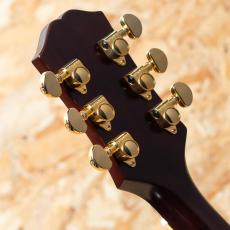 Epiphone Inspired by Gibson Hummingbird Standard EC NA_9