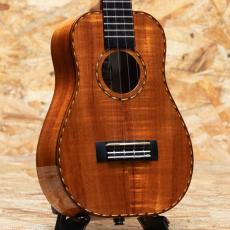 Kamaka HB-2D Concert Semi Long Neck 2021