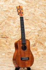 Kamaka HB-2D Concert Semi Long Neck 2021_3