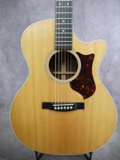 Martin GPCPA4 Rosewood_2