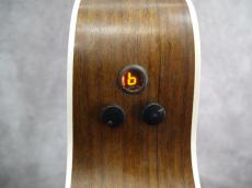 Martin GPCPA4 Rosewood_10
