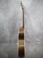 Martin GPCPA4 Rosewood_13