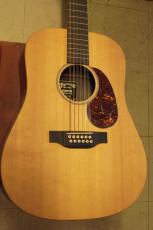 Martin D-12X1AE