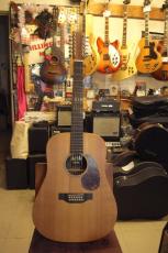 Martin D-12X1AE_2