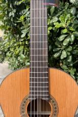 Aiersi Guitar SC02CSA-J【ラティスブレーシング】_3