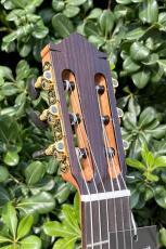 Aiersi Guitar SC02CSA-J【ラティスブレーシング】_7