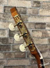 KODAIRA [小平] コダイラギター AST-150S 【中古】_10
