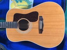 Guild D-40 NT_2