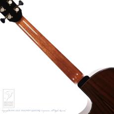 IKKO MASADA Model C Cutaway【セール開催中!24回無金利対象品】_6