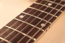 Gibson 1959 Les Paul Special "TV Yellow Finish"_4