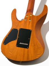 Suhr Modern Brazilian Rosewood(BZF)  Natural 2009_2