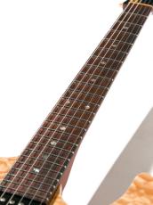 Suhr Modern Brazilian Rosewood(BZF)  Natural 2009_5