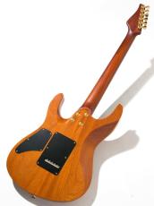 Suhr Modern Brazilian Rosewood(BZF)  Natural 2009_8