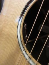 Martin SC-13E Special_5