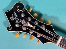 Gibson F-4_5