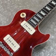 Gibson 【新品チョイキズ特価】Warren Haynes Les Paul Standard #227040079 【4.25kg】_4
