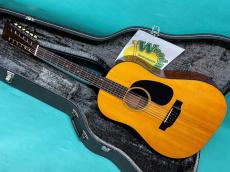 Martin D12-20
