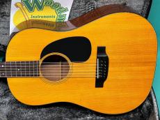 Martin D12-20_2